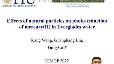 Effects of Suspended Particulate Matter on Photo-reduction of Mercury(II) in Everglades Water
